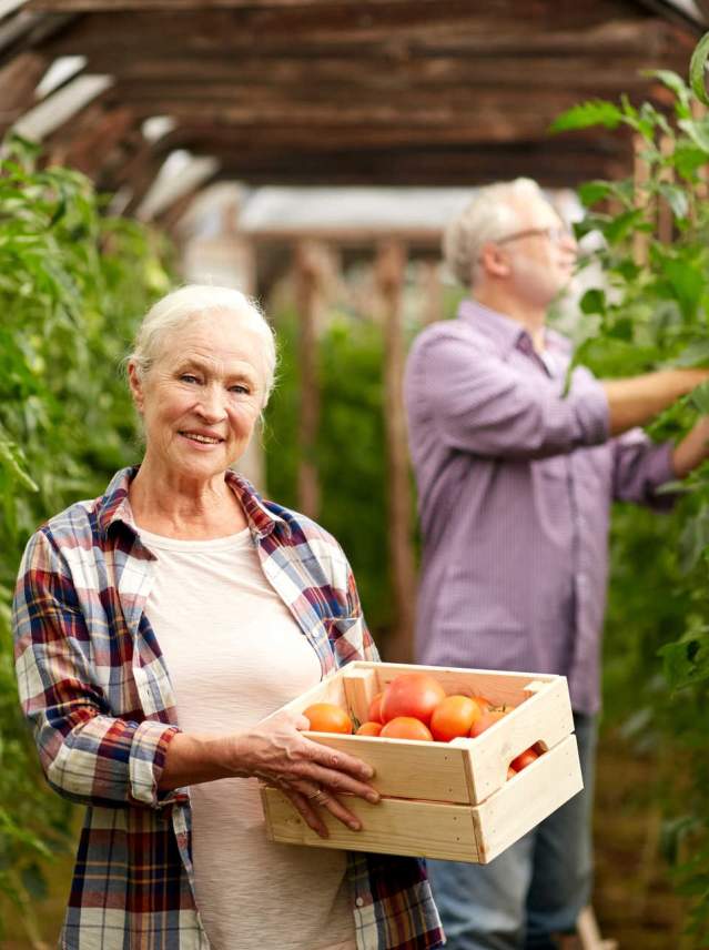 Andalucía en clave eco: agroturismo ecológico, restaurantes sostenibles y productos km 0