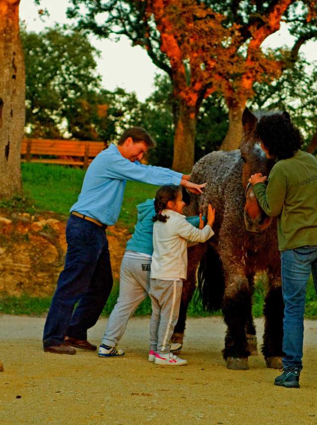 The 10 best ways to enjoy the Costa del Sol with children
