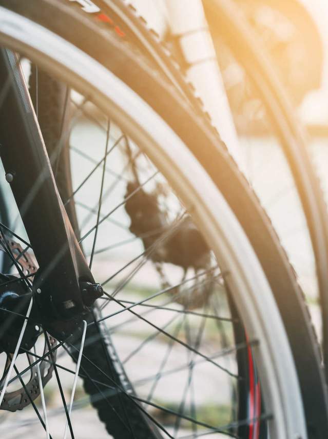 Was passiert, wenn wir in Sevilla Fahrradtouren machen?