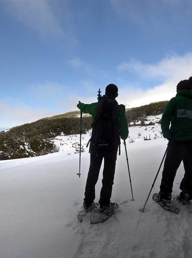 Raquettes de neige dans les bois de Sierra Nevada