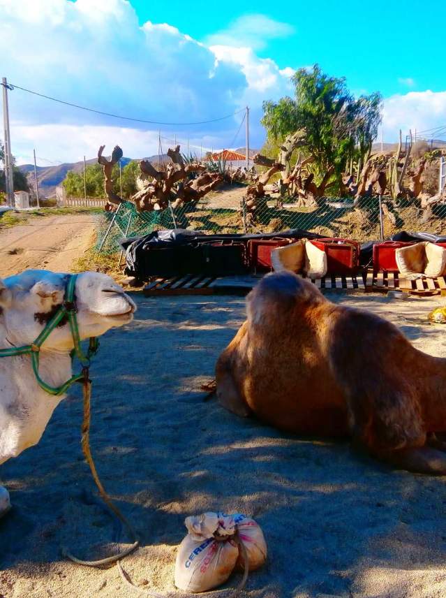 Almeria: a unique destination you can discover as a family