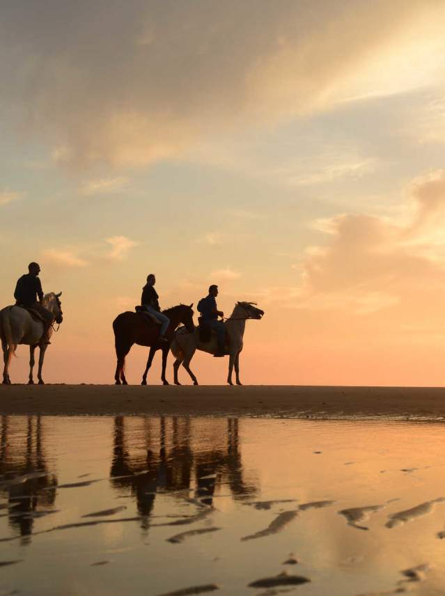 Un paseo por las orillas de las mejores playas de Andalucía