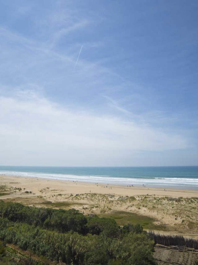 Surf destinations in Cadiz where you'll enjoy good vibes