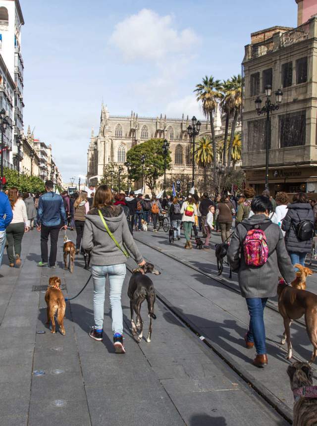 Die besten Hundeparks in Sevilla
