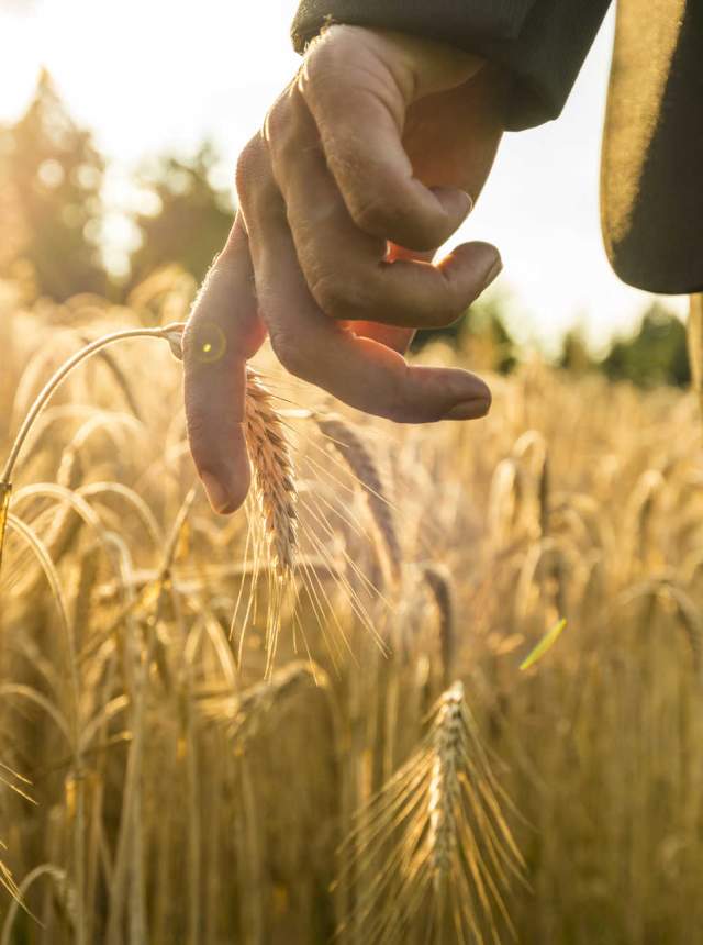 Conociendo las ecoaldeas. El caso almeriense