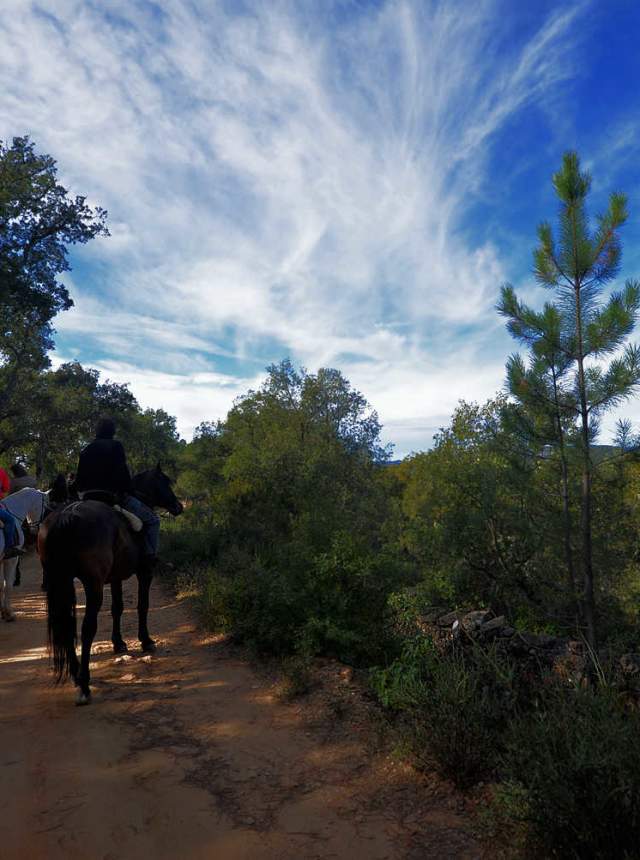 A caballo por la Sierra de Aracena