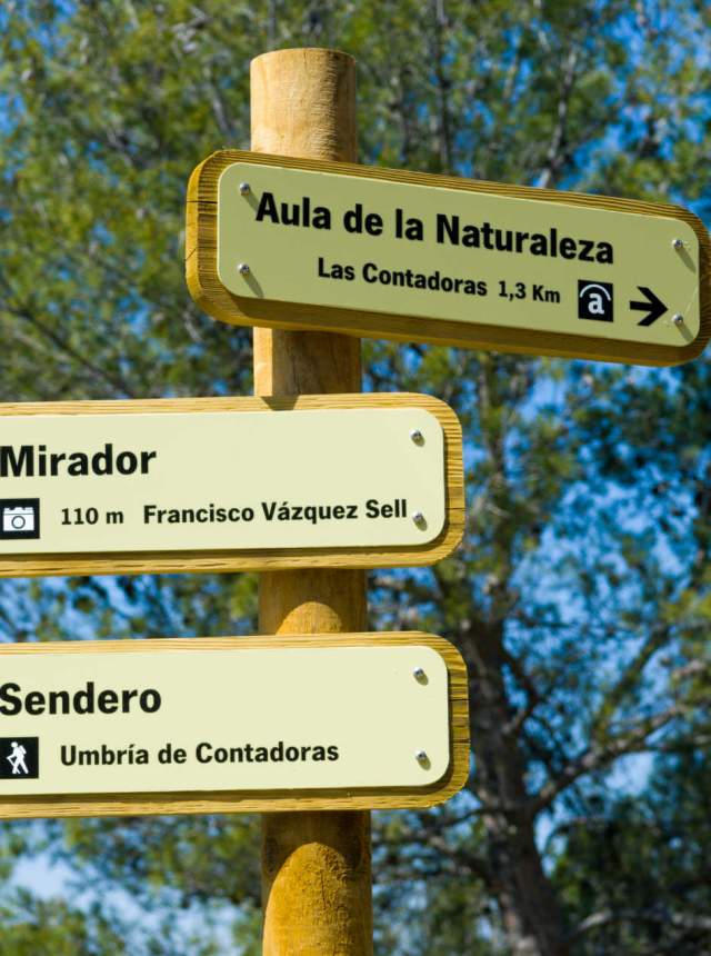 Otoño de senderos por los Montes de Málaga