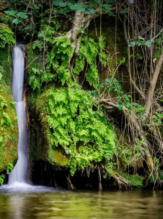 Baños de Popea y Arroyo Bejarano
