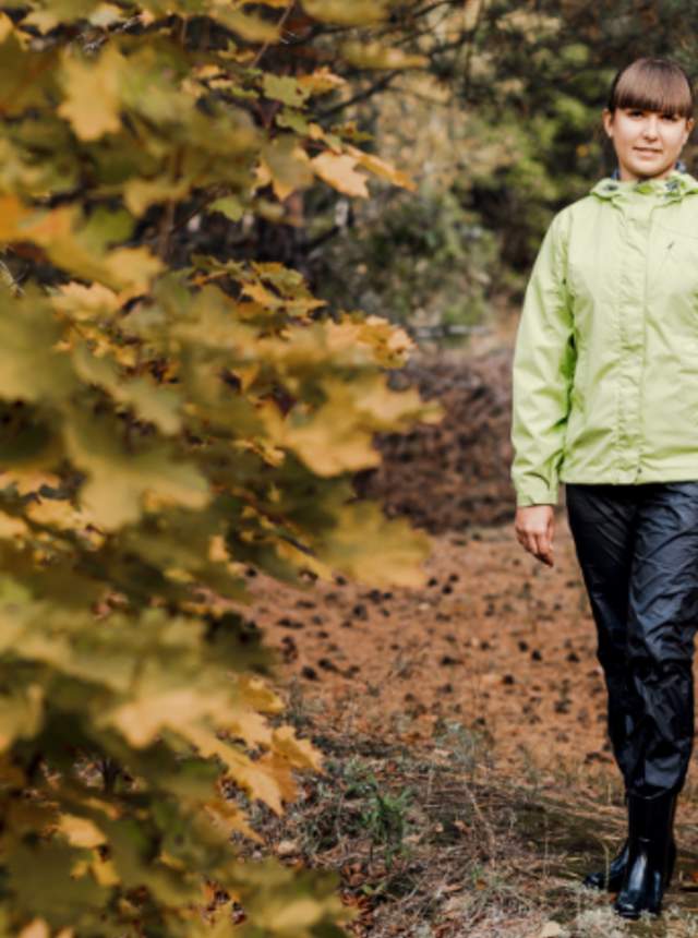 Edible mushroom season in Almería: Local varieties, where, when and how to harvest them.