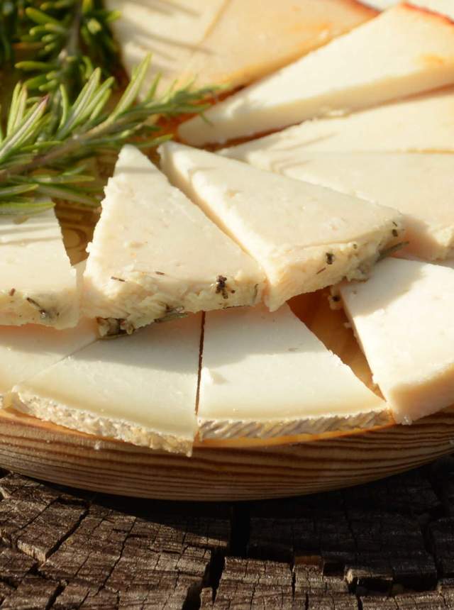 Una cata frente al mejor queso del mundo el Payoyo (5)