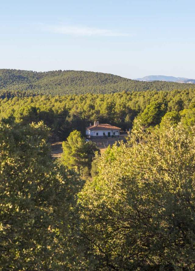 Sierra de María Los Vélez (Almeria)