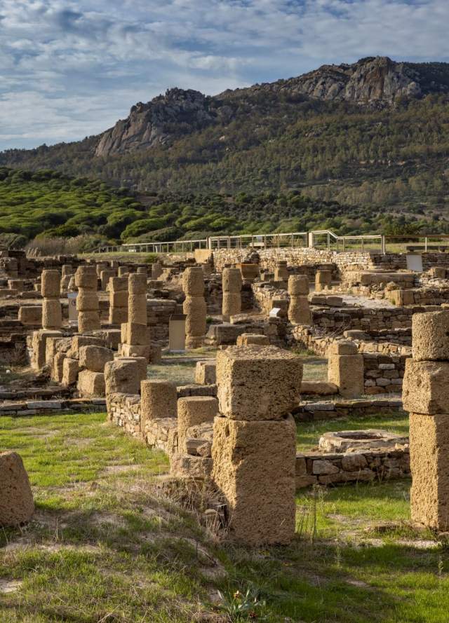 Bolonia