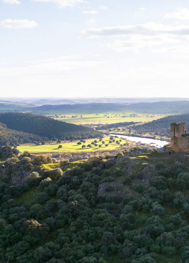 Castillo de Madroñiz