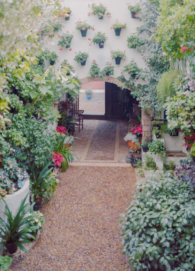 Patios de Córdoba