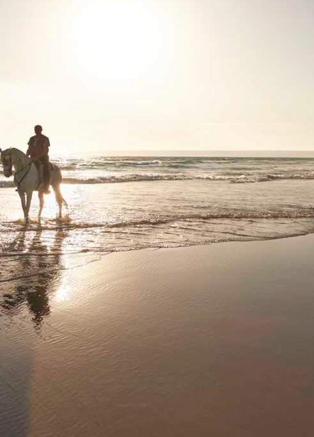 Cadiz Zahara Caballos