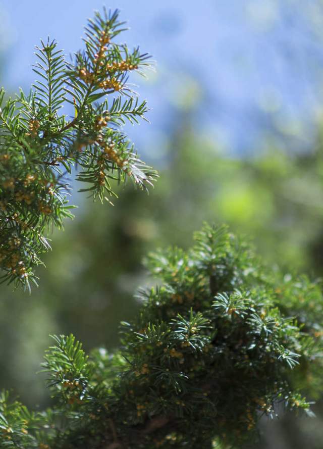 Rutas de Naturaleza