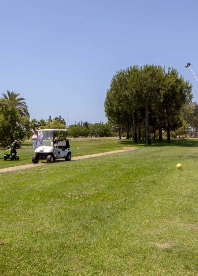 Pitch & Putt
