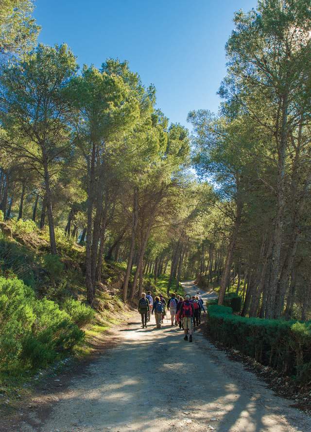 Rutas de Senderismo
