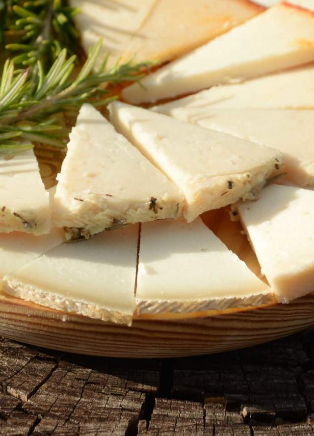Una cata frente al mejor queso del mundo el Payoyo (5)