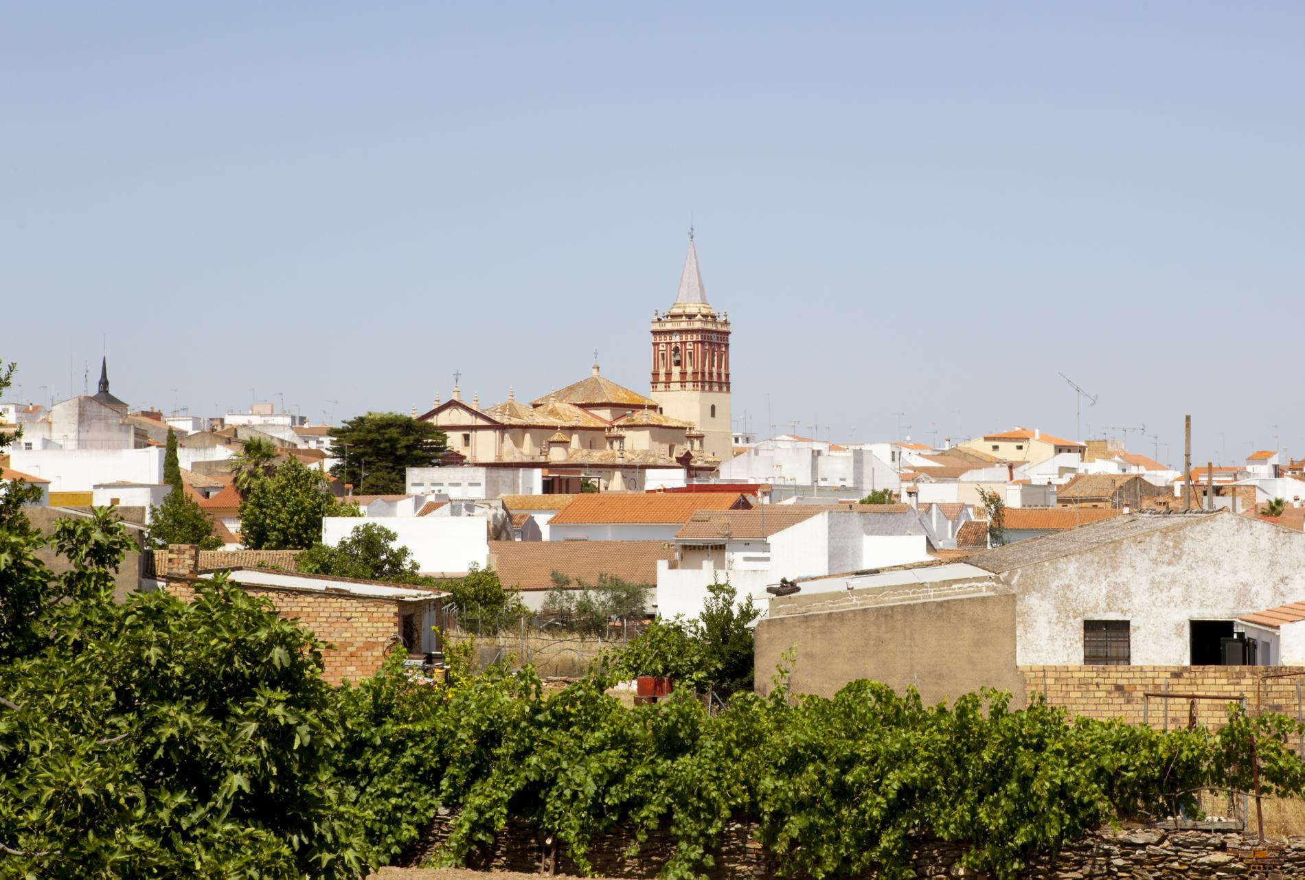 Valverde del Camino_Panorámica