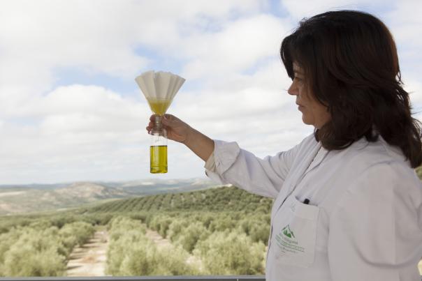 Sierra Mágina (Aceite)