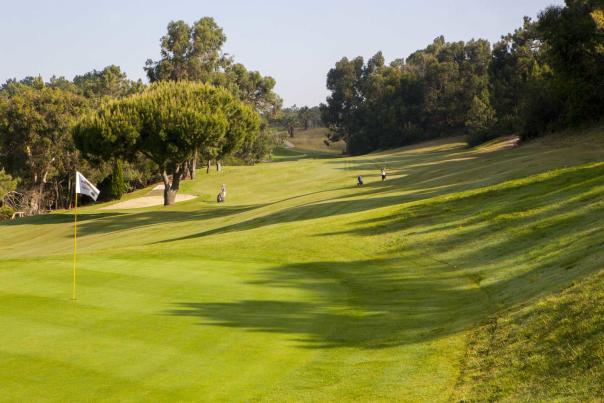 Imagen Primaria - Golf en Andalucía: el deporte al aire libre para volver a ponerte en forma.