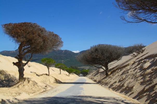 Imagen Primaria - 5 destinos de Andalucía para conectar con la naturaleza