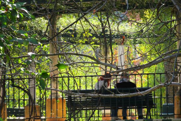 Imagen Primaria - La Sevilla de los Sentidos