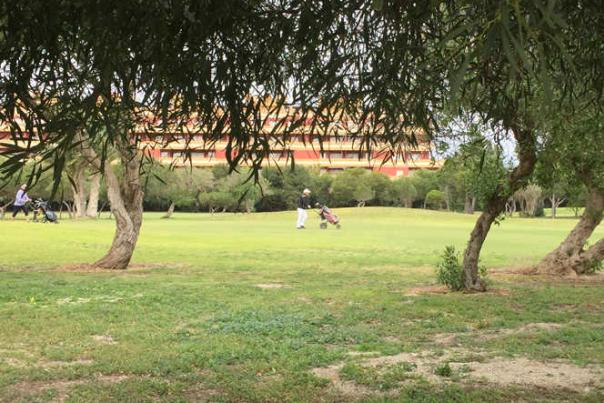 Imagen Primaria - Playa Serena un lugar del que no querrás marcharte