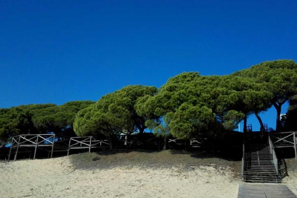 Imagen Primaria - Unas vacaciones románticas en el Paraje Natural del Río Piedras y Flecha del Rompido