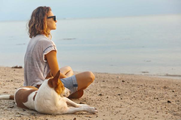 Imagen Primaria - Paseos con tu perro por Almería