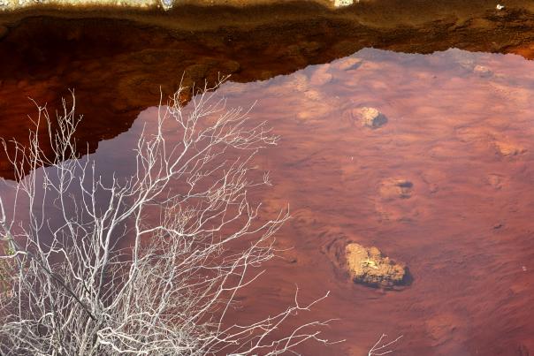 Imagen Primaria - 10 curiosidades que no sabías sobre el río Tinto