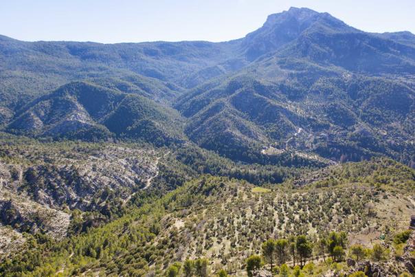 Imagen Primaria - La cultura maderera en las Sierras de Segura y Cazorla