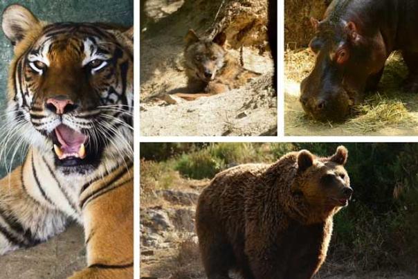 Imagen Primaria - Diez Planes para disfrutar de Andalucía en familia