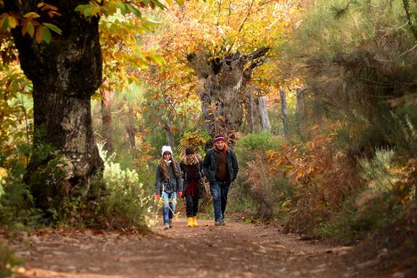 Imagen Primaria - Rutas y senderos de la Sierra de Aracena y Picos de Aroche
