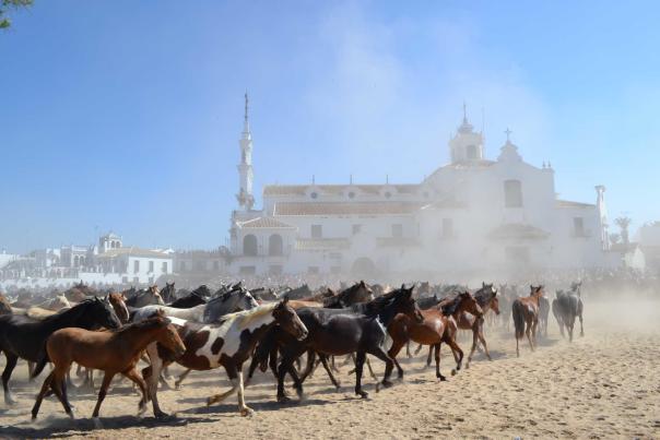 Imagen Primaria - La Saca de las Yeguas, una tradición ancestral en un escenario único