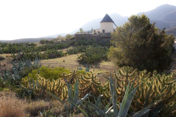 Imagen Primaria - Rutas para viajar tipo 'road-trip' por la costa andaluza