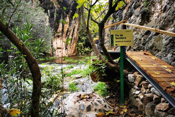 Imagen Primaria - Adelfal de Cuadros y Cornicabral de Mágina