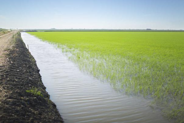 Imagen Primaria - Andalucía, destino de cine. ¿Qué se rodó aquí?
