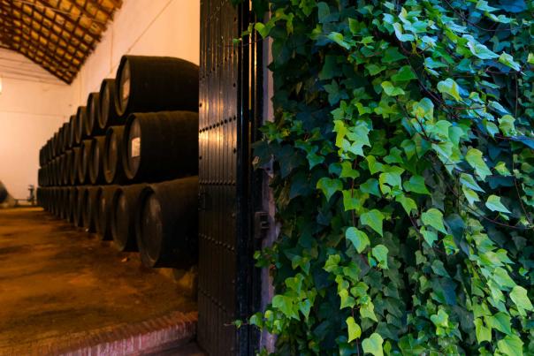 Imagen Primaria - Montilla y la artesanía del vino