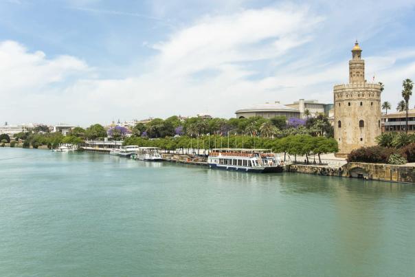 Imagen Primaria - La ciudad con más vitamina C del mundo