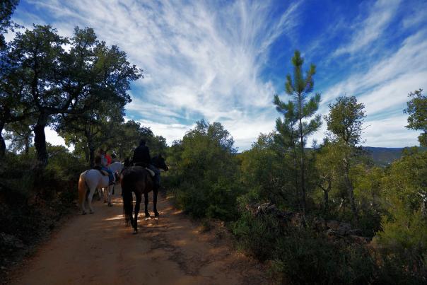 Imagen Primaria - A caballo por la Sierra de Aracena