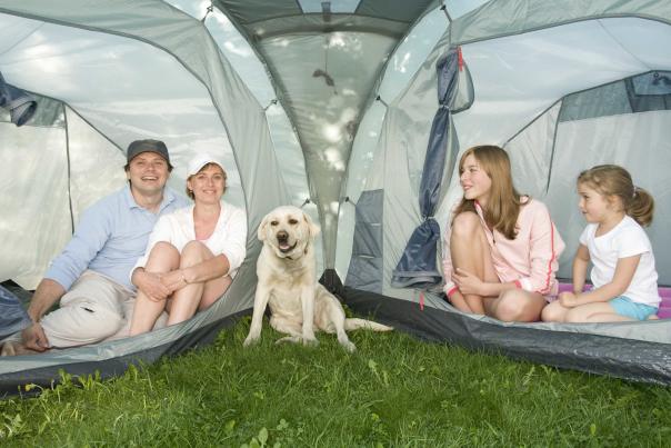 Imagen Primaria - De campings por la provincia de Córdoba con tu perro