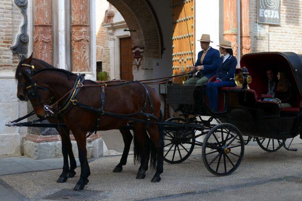 Imagen Primaria - Descubriendo Ecija a caballo y coche de caballos