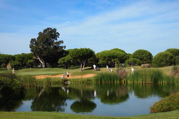Imagen Primaria - Sancti Petri Hills, estandarte de los campos "Pet Friendly” en Andalucía