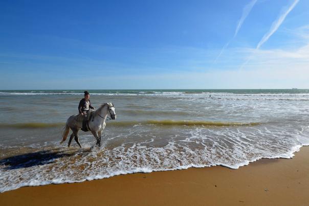 Imagen Primaria - Ruta a caballo por las playas de Doñana al atardecer
