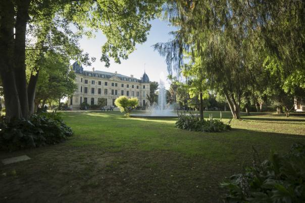 Imagen Primaria - Los caballos que susurran a los hombres