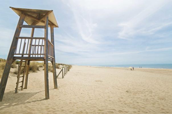 Imagen Primaria - Las playas de Huelva ideales para ir con amigos, en familia o con tu perro