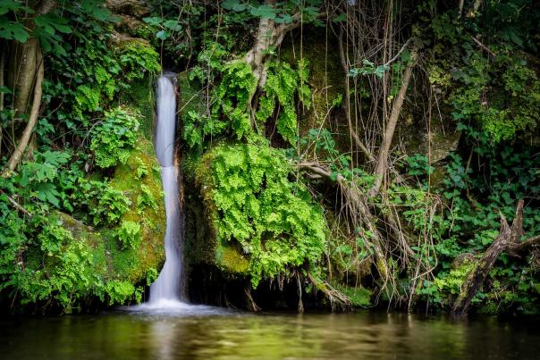 Imagen Primaria - Baños de Popea y Arroyo Bejarano