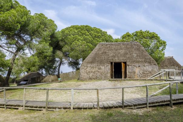Imagen Primaria - Rutas ecoturistas en Doñana